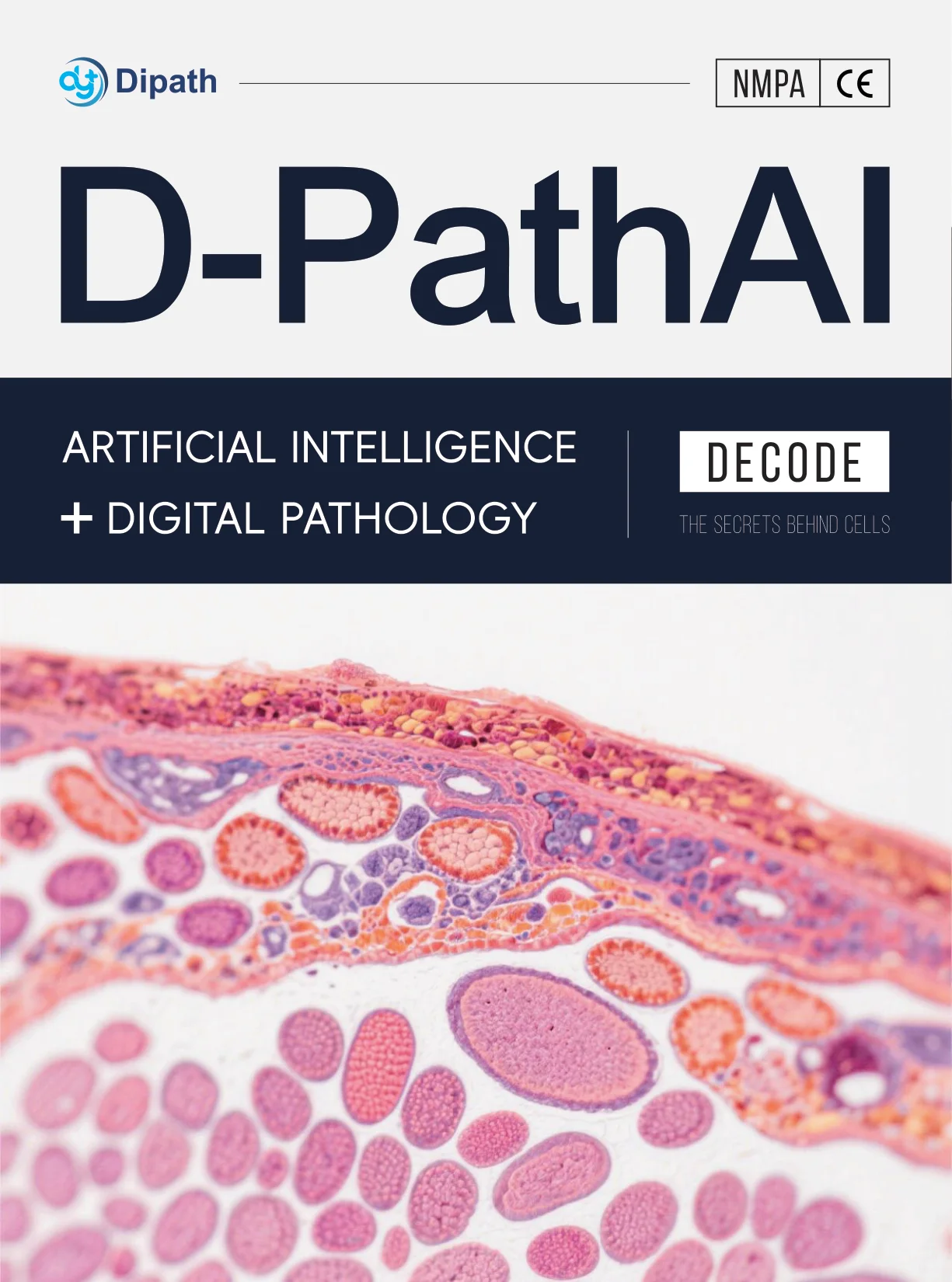 D-PathAI Platform