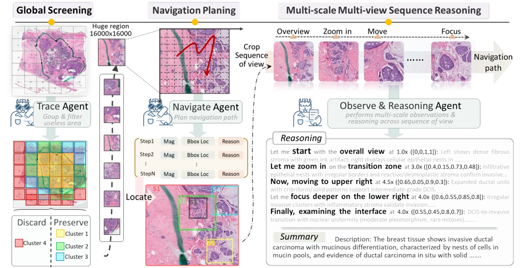 Deep Learning Analysis