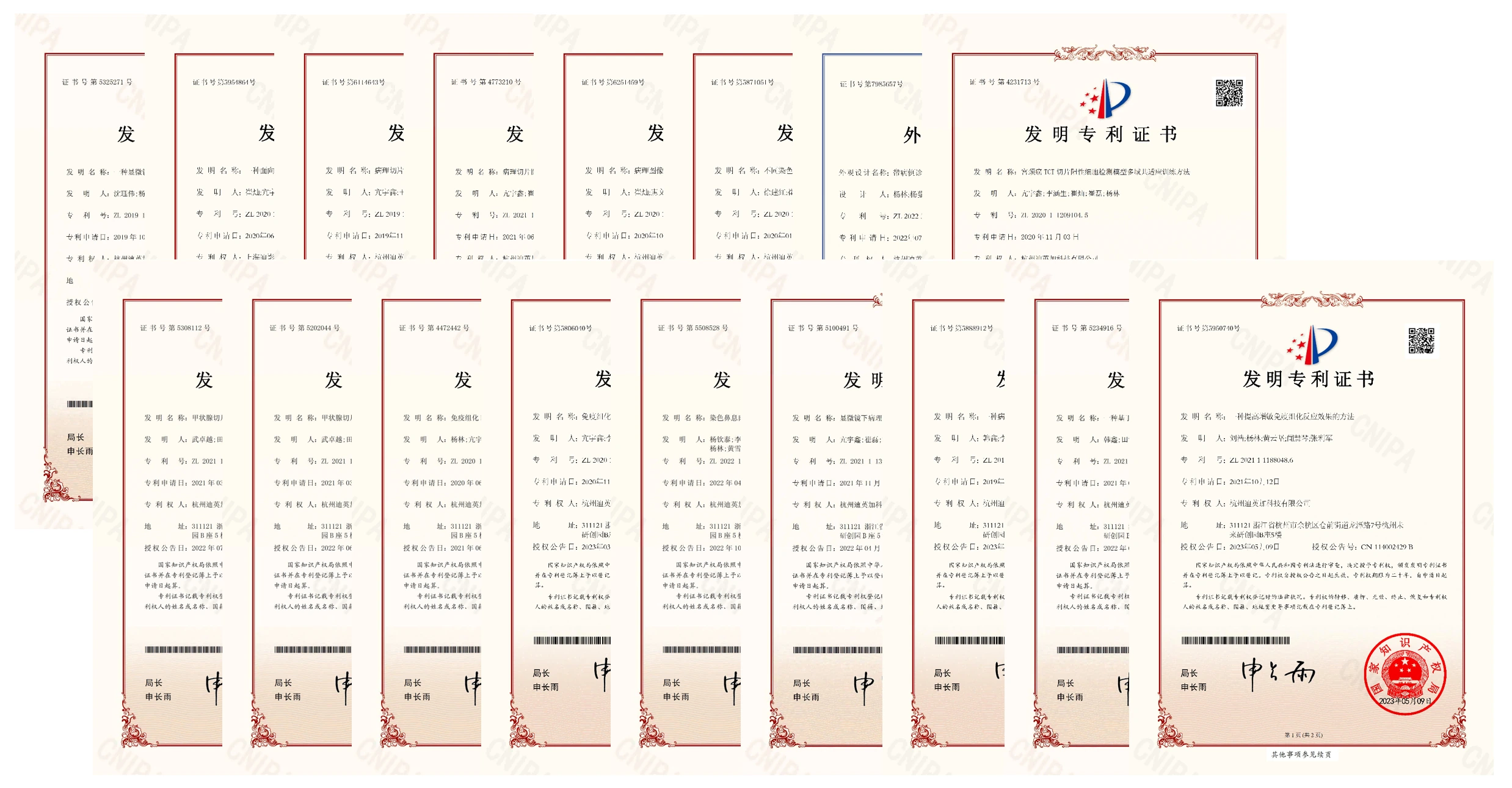 DiPath intellectual property and patent portfolio