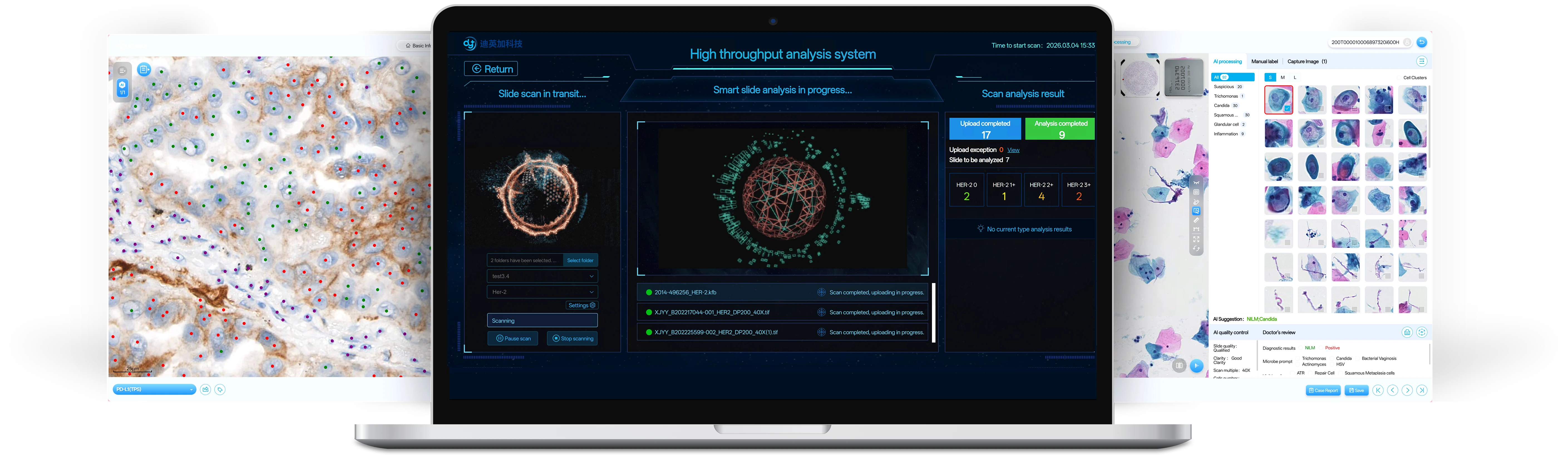 D-PathAI Platform Interface